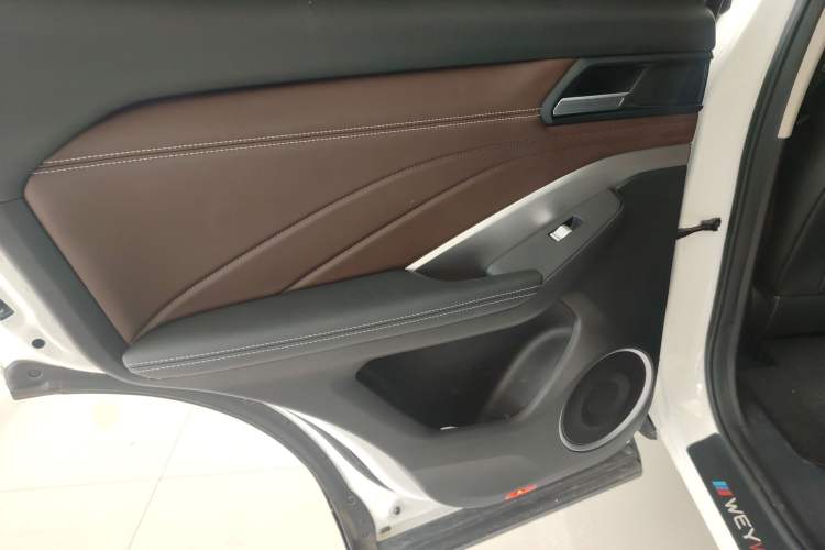Used Wey VV6 2019 2.0T Two-Wheel-Drive Ultra-Luxury Version China VI Standard Left Rear Door Interior