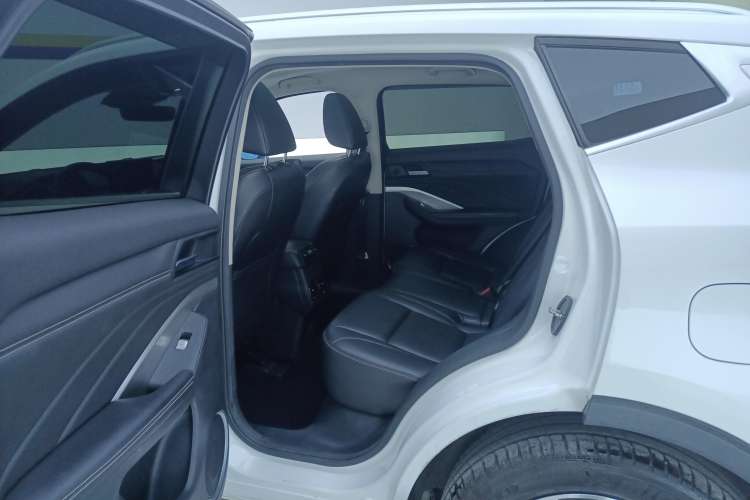 Used Wey VV6 2019 2.0T Two-Wheel-Drive Flagship Version China VI Standard Left Rear Seat