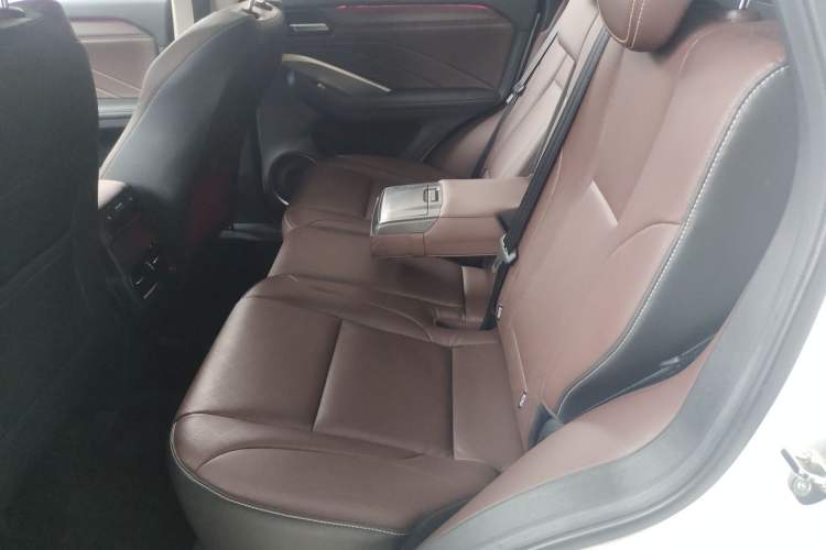 Used Wey VV6 2019 2.0T Two-Wheel-Drive Ultra-Luxury Version China VI Standard Left Rear Seat