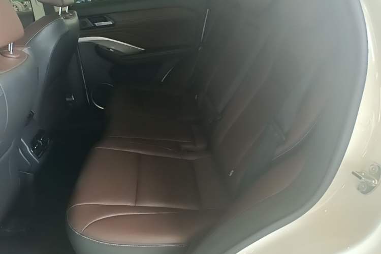 Used Wey VV6 2019 2.0T Two-Wheel-Drive Ultra-Luxury Version China VI Standard Left Rear Seat