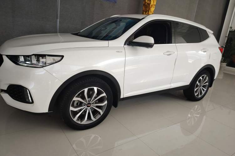 Used Wey VV6 2019 2.0T Two-Wheel-Drive Ultra-Luxury Version China VI Standard Left Side