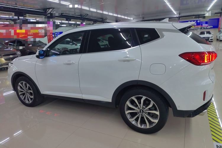 Used Wey VV6 2019 2.0T Two-Wheel-Drive Flagship Version China VI Standard Left Side
