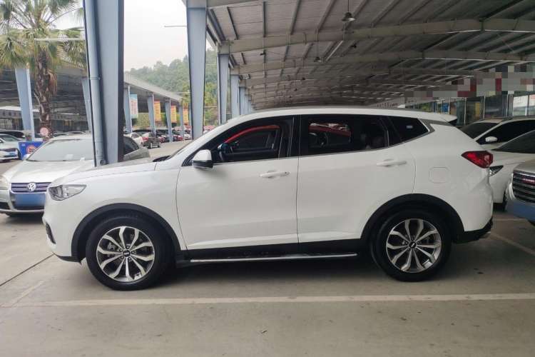 Used Wey VV6 2019 2.0T Two-Wheel-Drive Ultra-Luxury Version China VI Standard Left Side