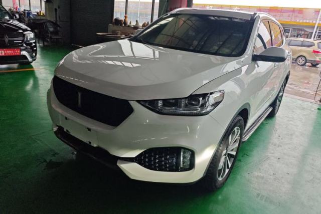 Used Wey VV6 2019 2.0T Two-Wheel-Drive Ultra-Luxury Version China VI Standard