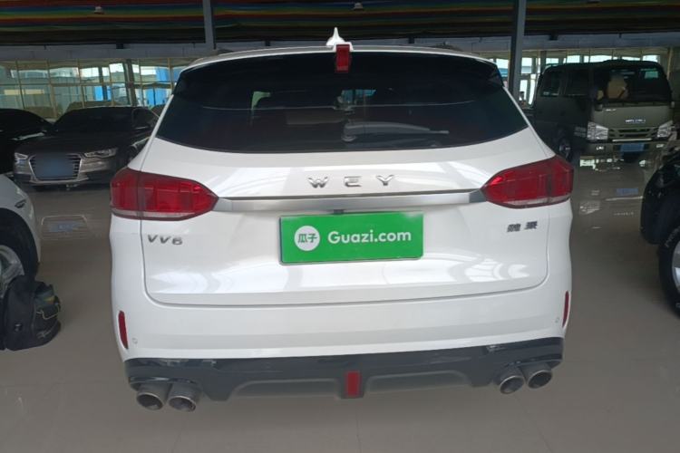 Used Wey VV6 2019 2.0T Two-Wheel-Drive Ultra-Luxury Version China VI Standard Rear
