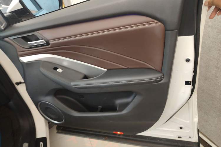 Used Wey VV6 2019 2.0T Two-Wheel-Drive Ultra-Luxury Version China VI Standard Right Front Door Interior