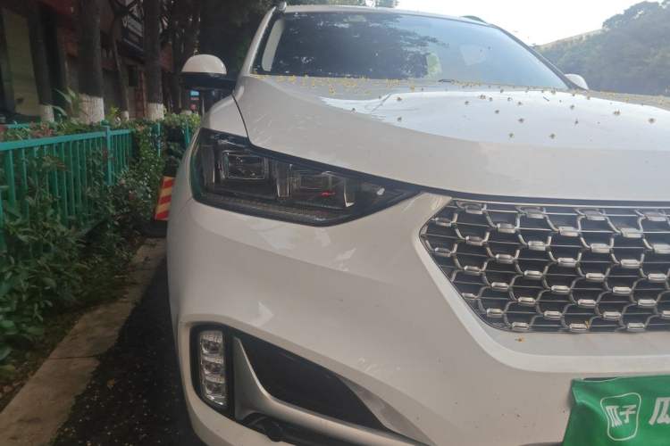 Used Wey VV6 2019 2.0T Four-Wheel Drive Flagship Version China VI Standard Right Front Headlight