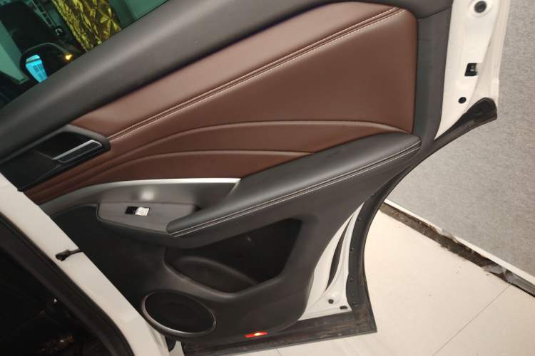 Used Wey VV6 2019 2.0T Two-Wheel-Drive Ultra-Luxury Version China VI Standard Right Rear Door Interior
