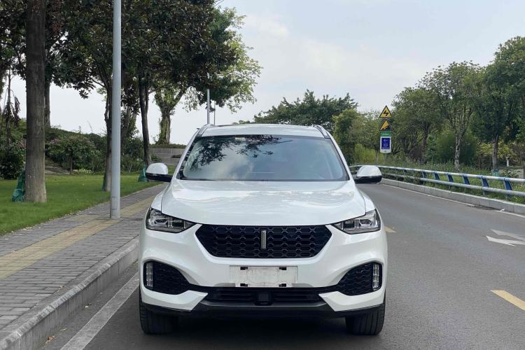 Used Wey VV6 2019 2.0T Two-Wheel-Drive Ultra-Luxury Version China VI Standard Roof