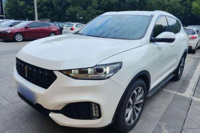 Used Wey VV6 2019 2.0T Two-Wheel-Drive Flagship Version China VI Standard