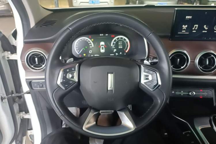 Used Wey VV6 2019 2.0T Two-Wheel-Drive Ultra-Luxury Version China VI Standard Steering Wheel