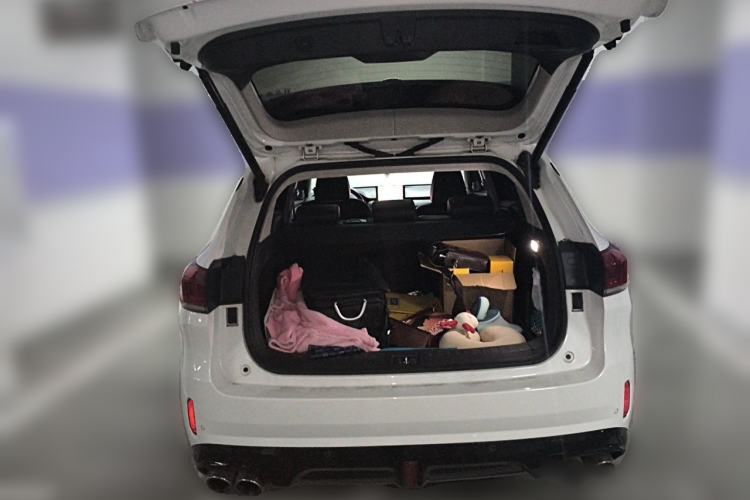 Used Wey VV6 2019 2.0T Two-Wheel-Drive Ultra-Luxury Version China VI Standard Trunk