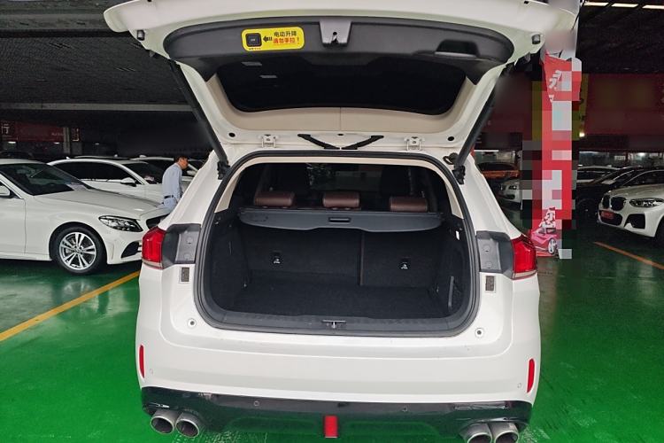 Used Wey VV6 2019 2.0T Two-Wheel-Drive Ultra-Luxury Version China VI Standard Trunk