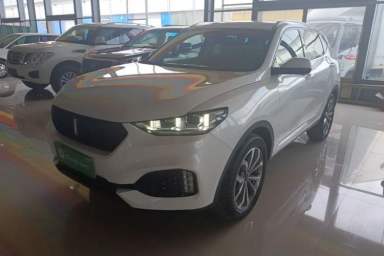 Used Wey VV6 2019 2.0T Two-Wheel-Drive Ultra-Luxury Version China VI Standard