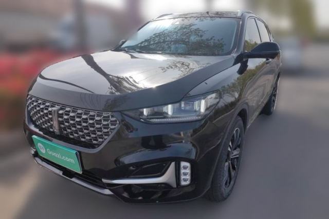 Used Wey VV6 2020 2.0T Two-Wheel Drive Smart Protection+