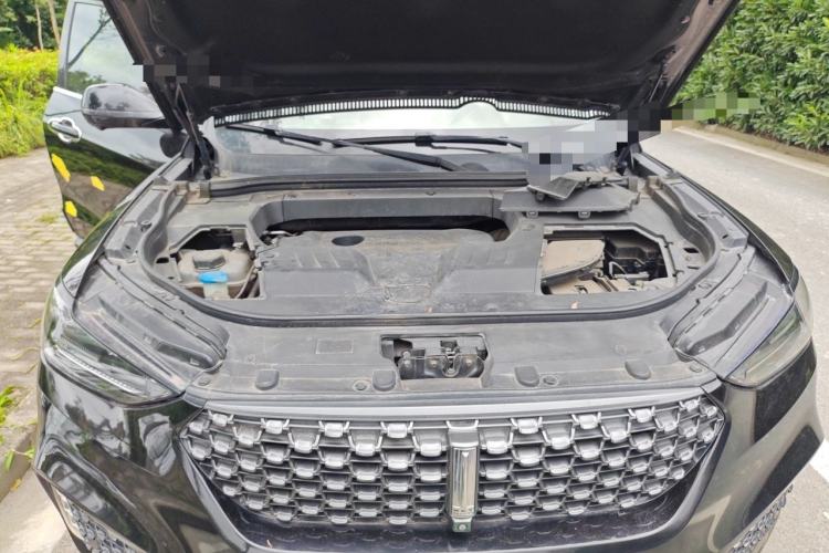 Used Wey VV6 2020 2.0T Two-Wheel Drive Smart Protection+ Engine Bay