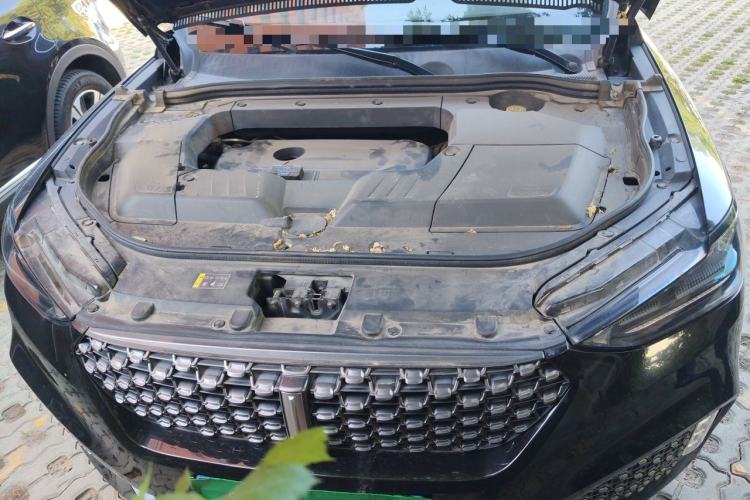 Used Wey VV6 2020 2.0T Two-Wheel Drive Smart Protection+ Engine Bay
