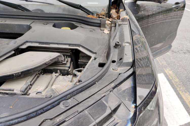 Used Wey VV6 2020 2.0T Two-Wheel Drive Smart Protection+ Engine Bay Left