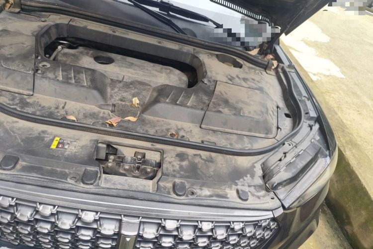 Used Wey VV6 2020 2.0T Two-Wheel Drive Smart Protection+ Engine Bay Left