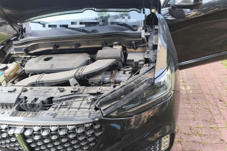 Used Wey VV6 2020 2.0T Two-Wheel Drive Smart Protection+ Engine Bay Left