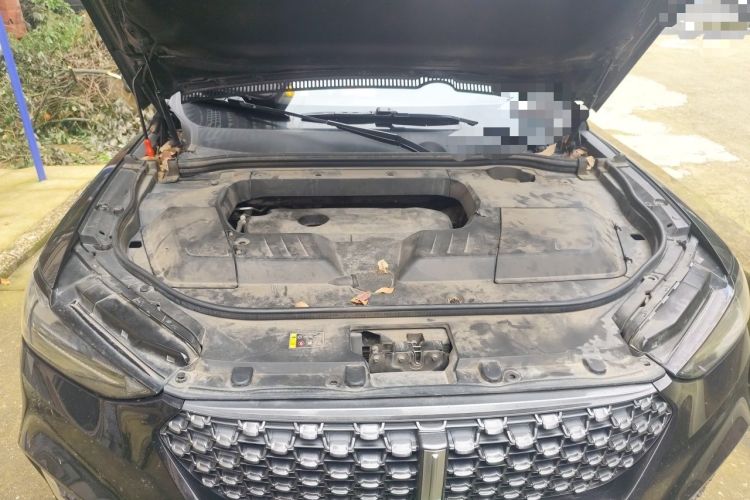Used Wey VV6 2020 2.0T Two-Wheel Drive Smart Protection+ Engine Bay