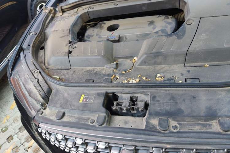 Used Wey VV6 2020 2.0T Two-Wheel Drive Smart Protection+ Engine Bay Right