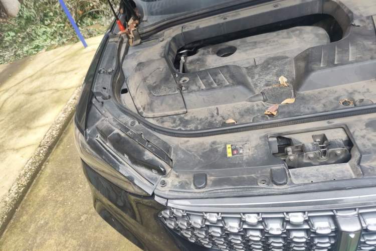 Used Wey VV6 2020 2.0T Two-Wheel Drive Smart Protection+ Engine Bay Right