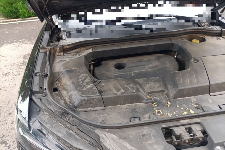 Used Wey VV6 2020 2.0T Two-Wheel Drive Smart Protection+ Engine Bay Right