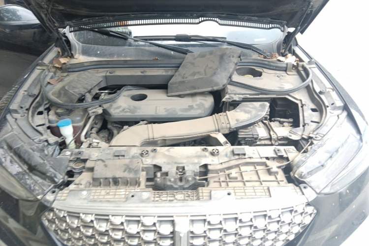 Used Wey VV6 2020 2.0T Two-Wheel Drive Smart Protection+ Engine Bay
