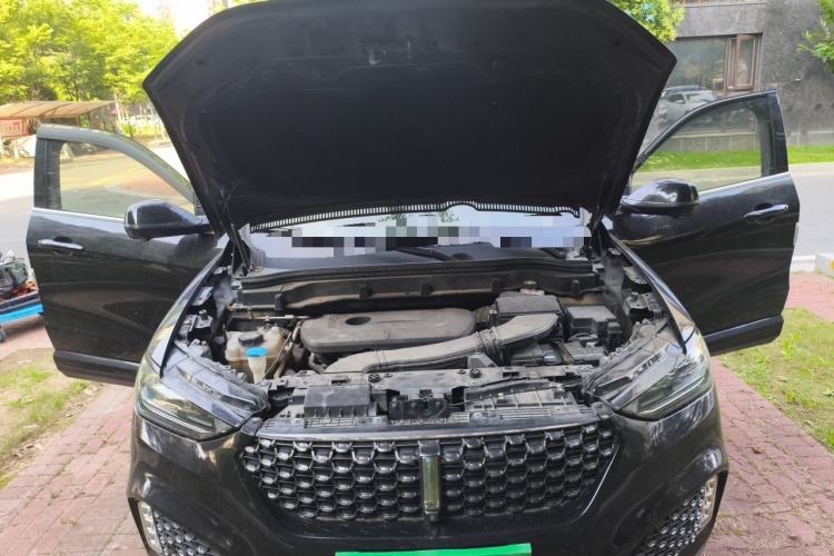 Used Wey VV6 2020 2.0T Two-Wheel Drive Smart Protection+ Engine Bay