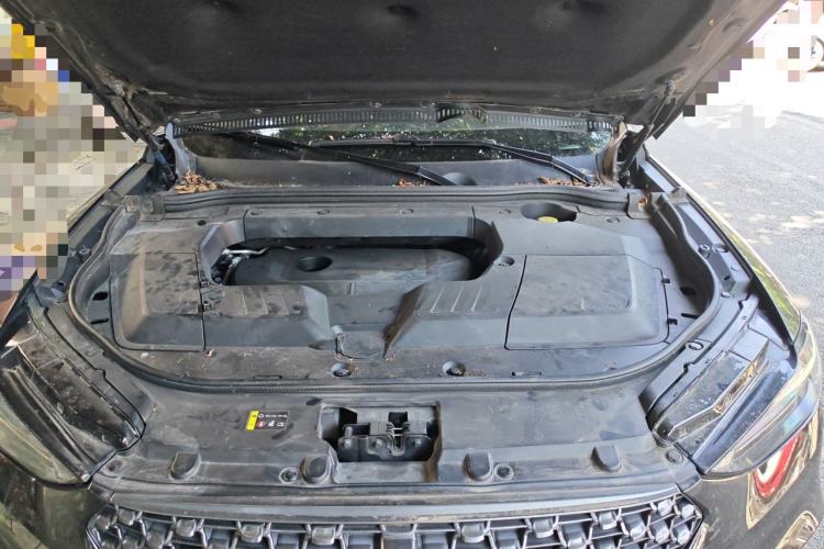 Used Wey VV6 2020 2.0T Two-Wheel Drive Smart Protection+ Engine Bay
