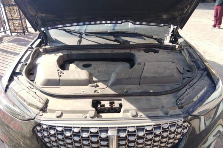 Used Wey VV6 2020 2.0T Two-Wheel Drive Smart Protection+ Engine Bay