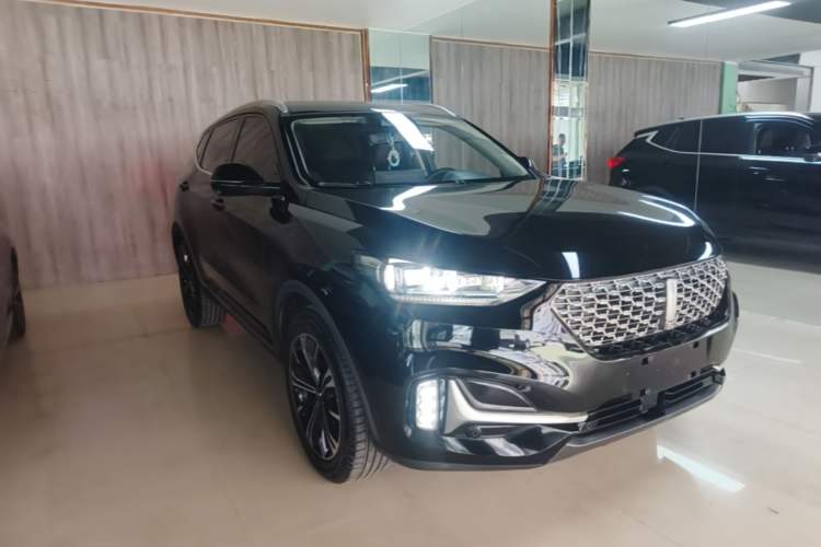 Used Wey VV6 2020 2.0T Two-Wheel Drive Zhiyue+ Exterior 1
