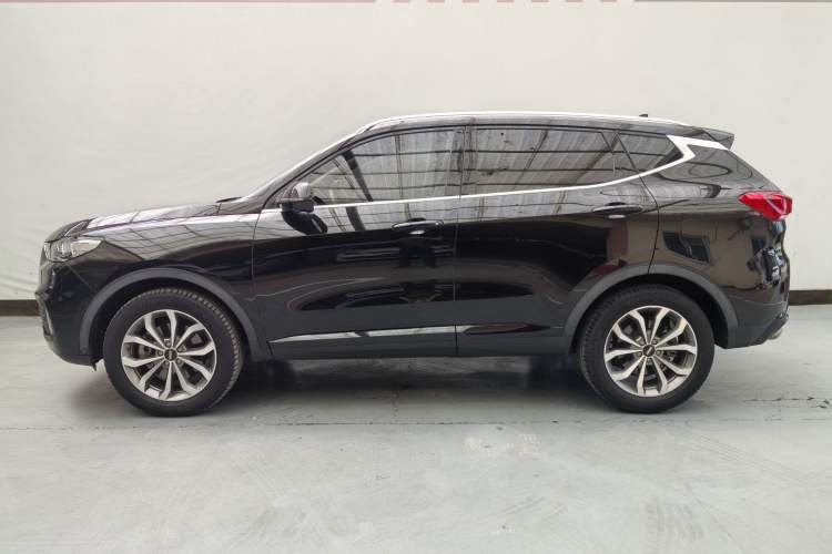 Used Wey VV6 2020 2.0T Two-Wheel Drive Smart Protection+ Exterior 8