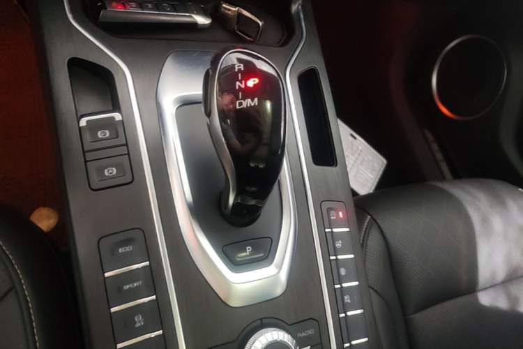 Used Wey VV6 2020 2.0T Two-Wheel Drive Smart Protection+ Gear Lever