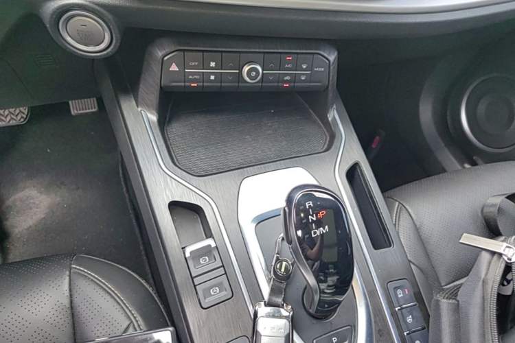 Used Wey VV6 2020 2.0T Two-Wheel Drive Smart Protection+ Gear Lever