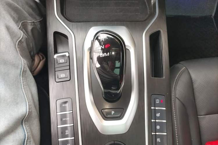Used Wey VV6 2020 2.0T Two-Wheel Drive Smart Protection+ Gear Lever