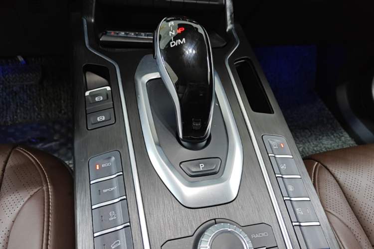 Used Wey VV6 2020 2.0T Two-Wheel Drive Smart Protection+ Gear Lever