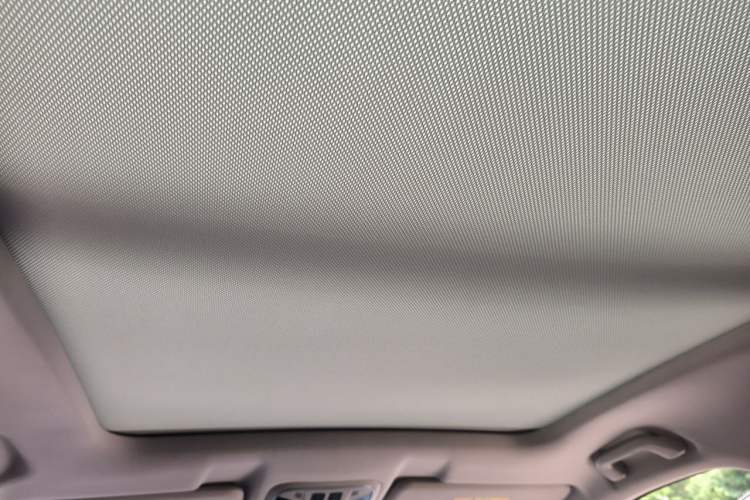 Used Wey VV6 2020 2.0T Two-Wheel Drive Smart Protection+ Headliner