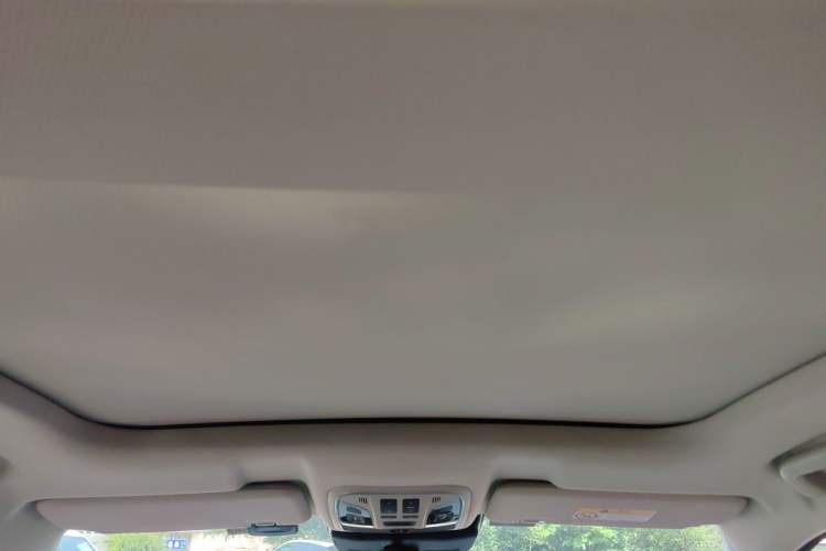 Used Wey VV6 2020 2.0T Two-Wheel Drive Smart Protection+ Headliner