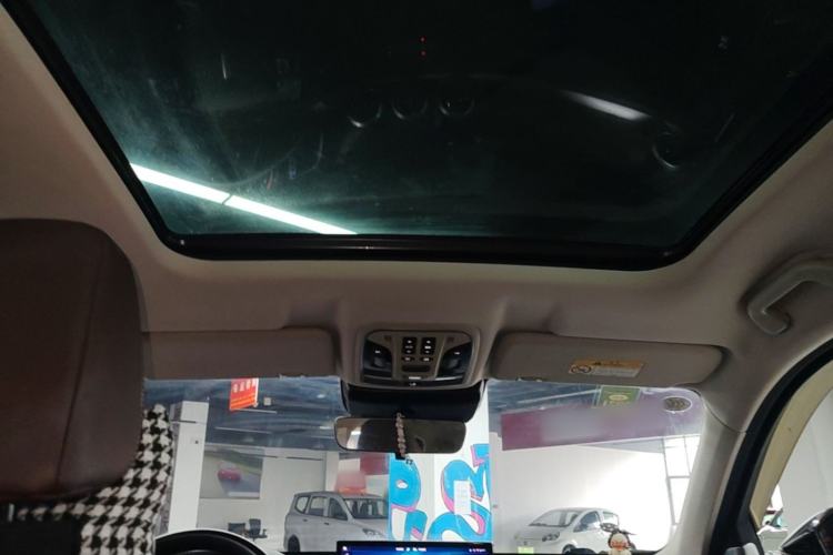 Used Wey VV6 2020 2.0T Two-Wheel Drive Smart Protection+ Headliner