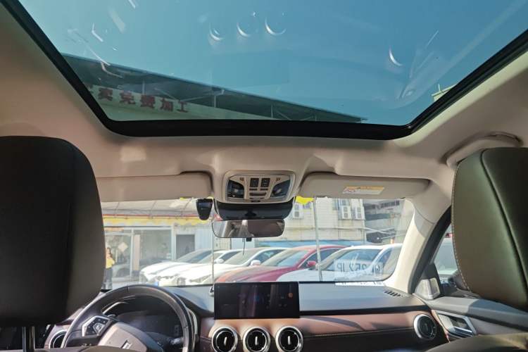 Used Wey VV6 2020 2.0T Two-Wheel Drive Smart Protection+ Headliner