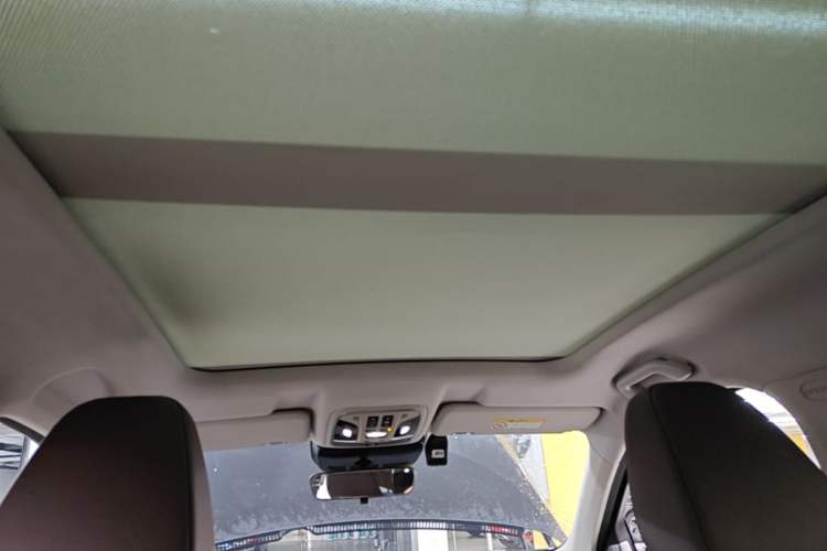 Used Wey VV6 2020 2.0T Two-Wheel Drive Smart Protection+ Headliner