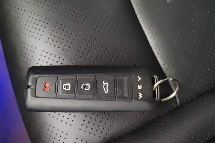 Used Wey VV6 2020 2.0T Two-Wheel Drive Smart Protection+ Interior 1