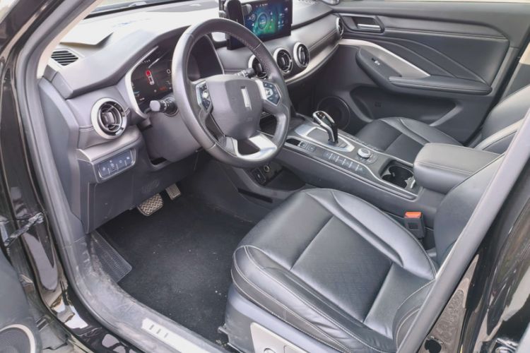 Used Wey VV6 2020 2.0T Two-Wheel Drive Smart Protection+ Interior 2