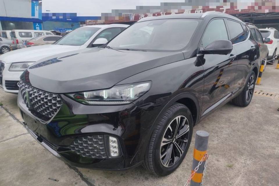 Wey VV6 2020