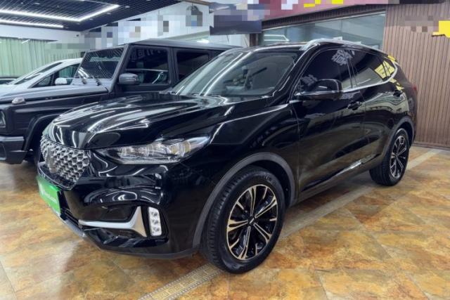 Used Wey VV6 2020 2.0T Two-Wheel Drive Collie SmartDrive+