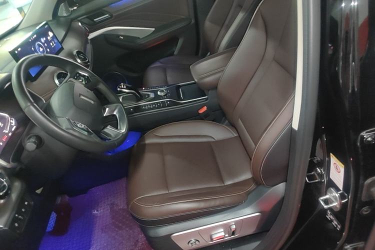 Used Wey VV6 2020 2.0T Two-Wheel Drive Smart Protection+ Left Front Seat