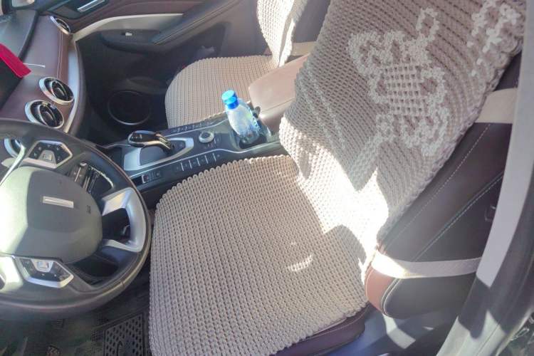 Used Wey VV6 2020 2.0T Two-Wheel Drive Smart Protection+ Left Front Seat