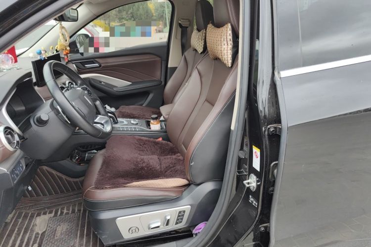 Used Wey VV6 2020 2.0T Two-Wheel Drive Collie SmartDrive+ Left Front Seat